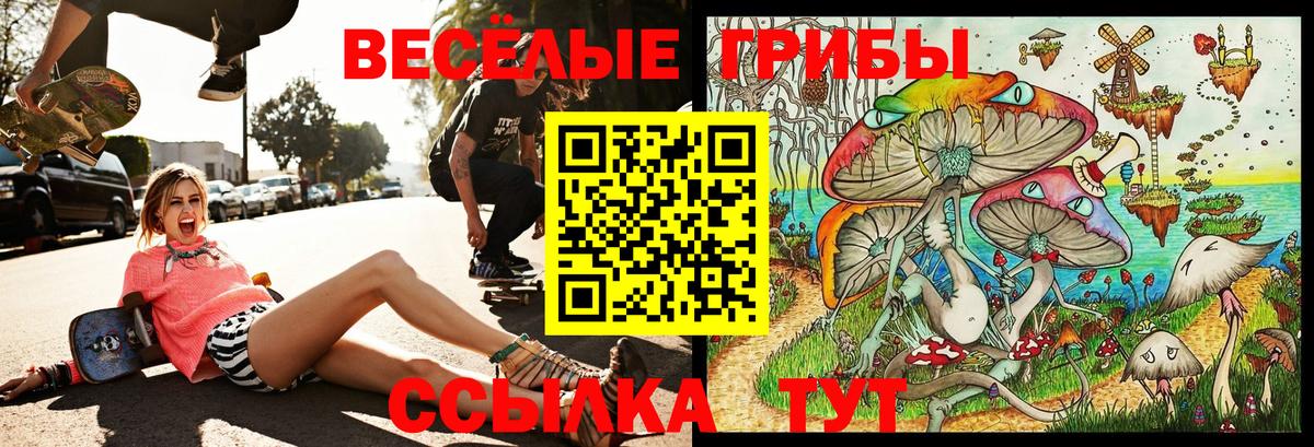 Саров  Псилоцибиновые грибы Psilocybe  Вход с VPN 
