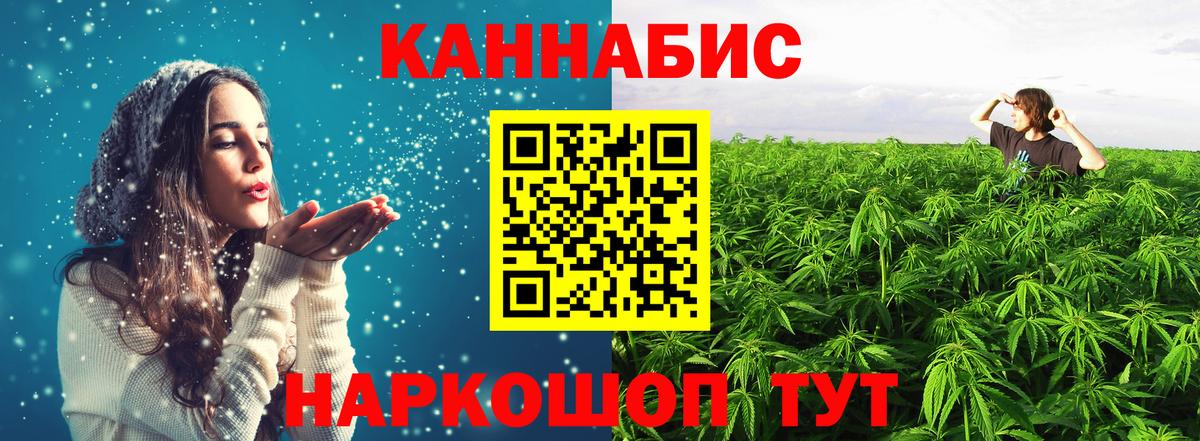 Каннабис MAZAR Саров